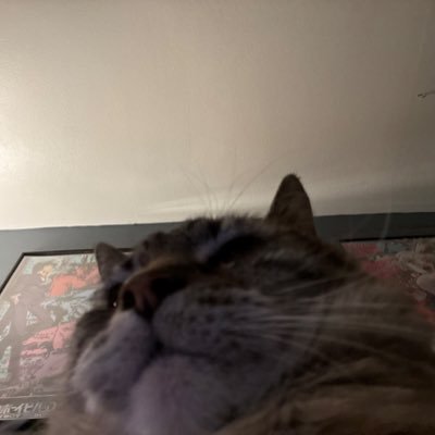 Mombear_Mckee's profile picture. Love my Aussie