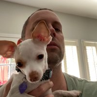 Shaxx-3:16 (@shaxx316) 's Twitter Profile