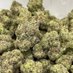 Weed plug Pennsylvania (@weed_plug810) Twitter profile photo Weed plug Pennsylvania (@weed_plug810) Twitter profile photo