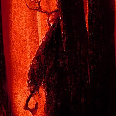 Condatum's profile picture. 🇦🇺 ➡️ 🇯🇵 ➡️ 🇺🇸 | #CTCCTCGGCGGGCACGTAG