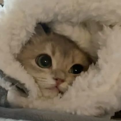 rlaqkqdldpdy's profile picture. 다죽자