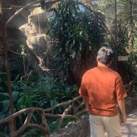 🦥 (@vjoosue) 's Twitter Profile