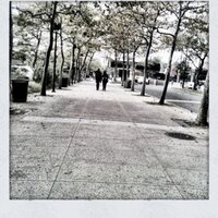 @zzzz (@zelvin) 's Twitter Profile