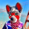 ZeppelinCoyote's profile picture. ✧ If found, return to @FurryPurpleAura ✧ Network Engineer ✧ Bi ✧ @PaciuloFursuits fursuiter ✧