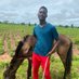 ngarr ceesay (@ngarr001) Twitter profile photo ngarr ceesay (@ngarr001) Twitter profile photo