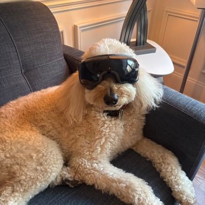 EckertKyler's profile picture. xxvi