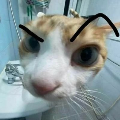 KrigenWolf's profile picture. 