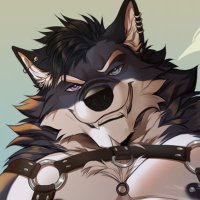 Zef➡️FWA (@zef_wolf) 's Twitter Profile