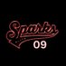 Sparks Elite 09 (@sparkseliteal) Twitter profile photo