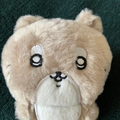 hatomunehatopo's profile picture. 動物｜かわいいもの｜ｲﾝﾃﾘｱ｜ﾚﾄﾛ｜無言ﾌｫﾛ-失礼いたします( ˘ω˘)