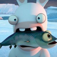 faqs (@foryoominnakab) 's Twitter Profile