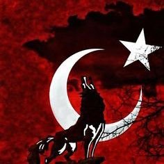 Hakanguler002's profile picture. 🇹🇷