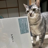 むちゅ (@tancoma0824k) 's Twitter Profile Photo