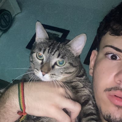 perdi a outra conta vsfd