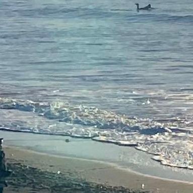 TQShvnJN0ND8IDt's profile picture. 移り行く時間のなかで、好きなもの、好きなこと、日々のこと、想いのままに
😆✨✨
#山下達郎、#桜井和寿、#ミスチル、#小林武史、#小倉博和、F＆M会員
🌊🏄‍♀️サーフィンがかっこ良すぎて、魅力に取り付かれ勉強中😉無言フォロー失礼致します🌈