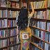 Fanny Soegi (@fannysoegi) Twitter profile photo Fanny Soegi (@fannysoegi) Twitter profile photo