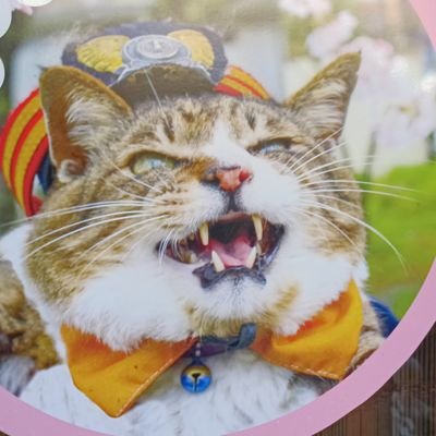5avm3DBQ0Y80373's profile picture. 本性を啓発したい
ホローして下さる皆様、ありがとーございます、不慣れなために返信できず済みません。