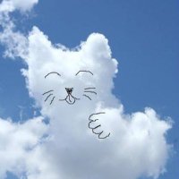 โรส (@1rqa7shktdg7qrp) 's Twitter Profile Photo