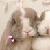 ⋆˖⁺‧₊☽ ϐׁׅ֒υׁׅꪀׁׅꪀׁׅꪱׁׅ ☾₊‧⁺˖⋆ (@twist3d_bunnii) Twitter profile photo ⋆˖⁺‧₊☽ ϐׁׅ֒υׁׅꪀׁׅꪀׁׅꪱׁׅ ☾₊‧⁺˖⋆ (@twist3d_bunnii) Twitter profile photo