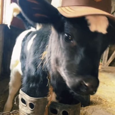 steph5590717's profile picture. 