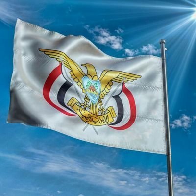 احمد الدار Profile