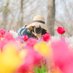 rika_portrait (@rika_portrait_) Twitter profile photo rika_portrait (@rika_portrait_) Twitter profile photo