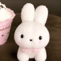 yoki (@koiikittyy) 's Twitter Profile Photo