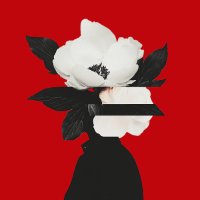TRAFFIC║虚像標本室 (@ra_fficc) 's Twitter Profile