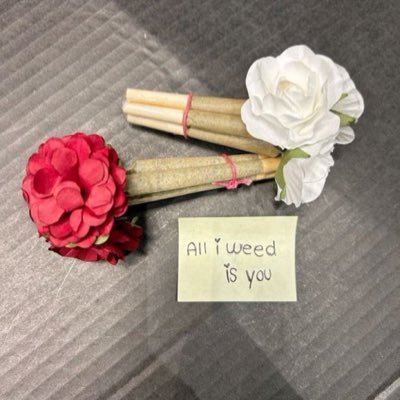 MagulukoLa's profile picture. 🦁PREY