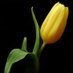 Budi (@surya34111) Twitter profile photo Budi (@surya34111) Twitter profile photo