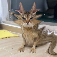 — Toffee` 🐈⬛️ (@xlxzxlx) 's Twitter Profile