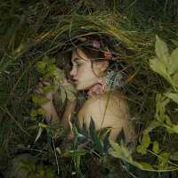 Ꮯαɱɾყɳ 🦋 (@annabelle__01) 's Twitter Profile
