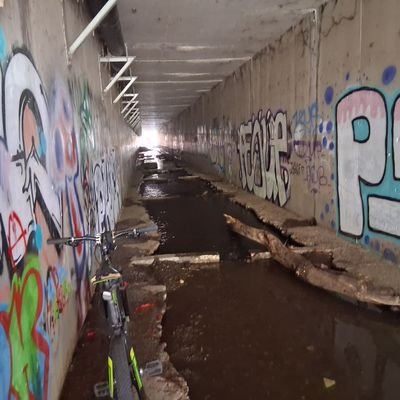 noeticfront69's profile picture. not just another product of society or a life lost down the wrong path, I am whole and am blessed I can see and am cursed with a heart that feels deep.