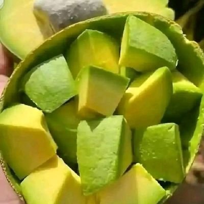 taseyon_analyst's profile picture. agricultural economist|fashion lover