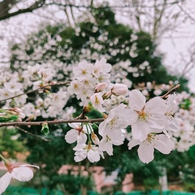 @KushalShah6056