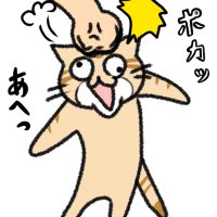 きゃみこ (@mugipeppe) 's Twitter Profile