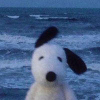 cc ✧.* (@sunsbizz) 's Twitter Profile Photo