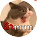ฉันเองก็จนปัญญา (@tntaynew_) Twitter profile photo ฉันเองก็จนปัญญา (@tntaynew_) Twitter profile photo