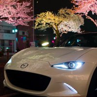 You_roadster (@you_roadster) Twitter profile photo