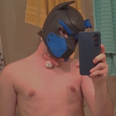 |18|
|5'5|
|Pup|
|He/Him/Hole|
|🏳️🌈|
|AD of gay blue Fuzzi|
|No minors🔞|
|bottom|
