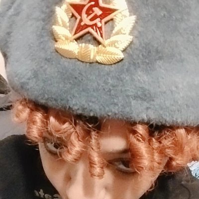🕸️Free Palestine 🇵🇸
🕸️ Marxist-leninist, goth, 21
🕸️they/them