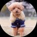 tomo (@tomo00747) Twitter profile photo