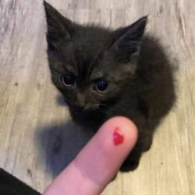 X5050759584738's profile picture. 