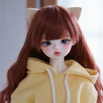 ro_bjd's profile picture. 성인인덕 ❣️/ 고양이집사 🐈