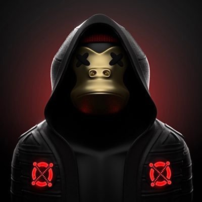 DaoWagmi Founder -
Stevedabitcoin Akademi Manager
Bitfine