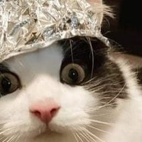 seifert (@seifert755451) 's Twitter Profile Photo seifert (@seifert755451) 's Twitter Profile Photo