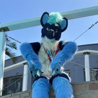 Tulus (@tulusyeen) 's Twitter Profile Photo Tulus (@tulusyeen) 's Twitter Profile Photo