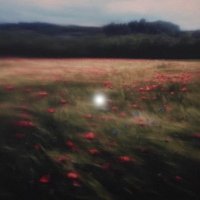 Rema Al-Shwawi (@riskinsightsr) Twitter profile photo