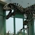 acrocanthosaurus (@vcrocanthosaura) Twitter profile photo acrocanthosaurus (@vcrocanthosaura) Twitter profile photo