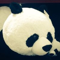 松村祐一郎@home (@rumiwaika) 's Twitter Profile Photo 松村祐一郎@home (@rumiwaika) 's Twitter Profile Photo